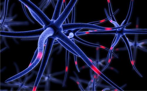 NIH BRAIN Initiative工具可帮助研究人员观察3D中的神经活动