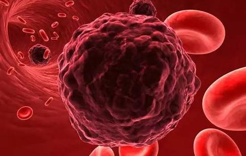 肿瘤劫持细胞死亡途径生存